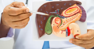 MIT Develops Injectable ‘Mini Livers’ That Function Inside the Body